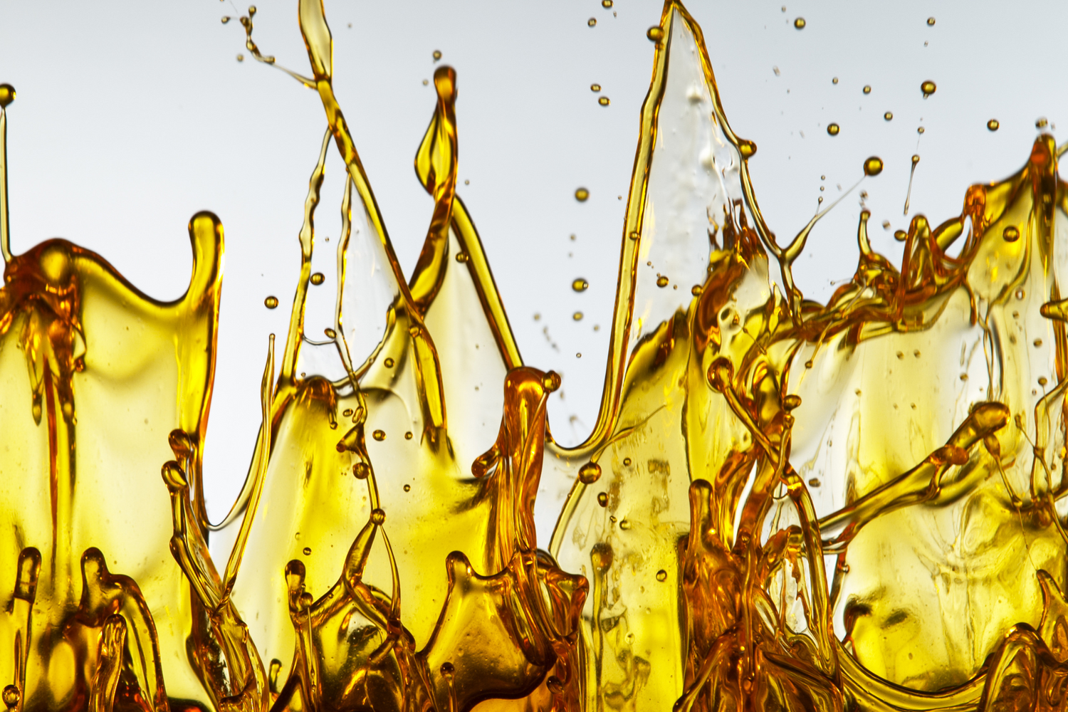 The Miraculous Benefits of Avocado Oil For Your Skin