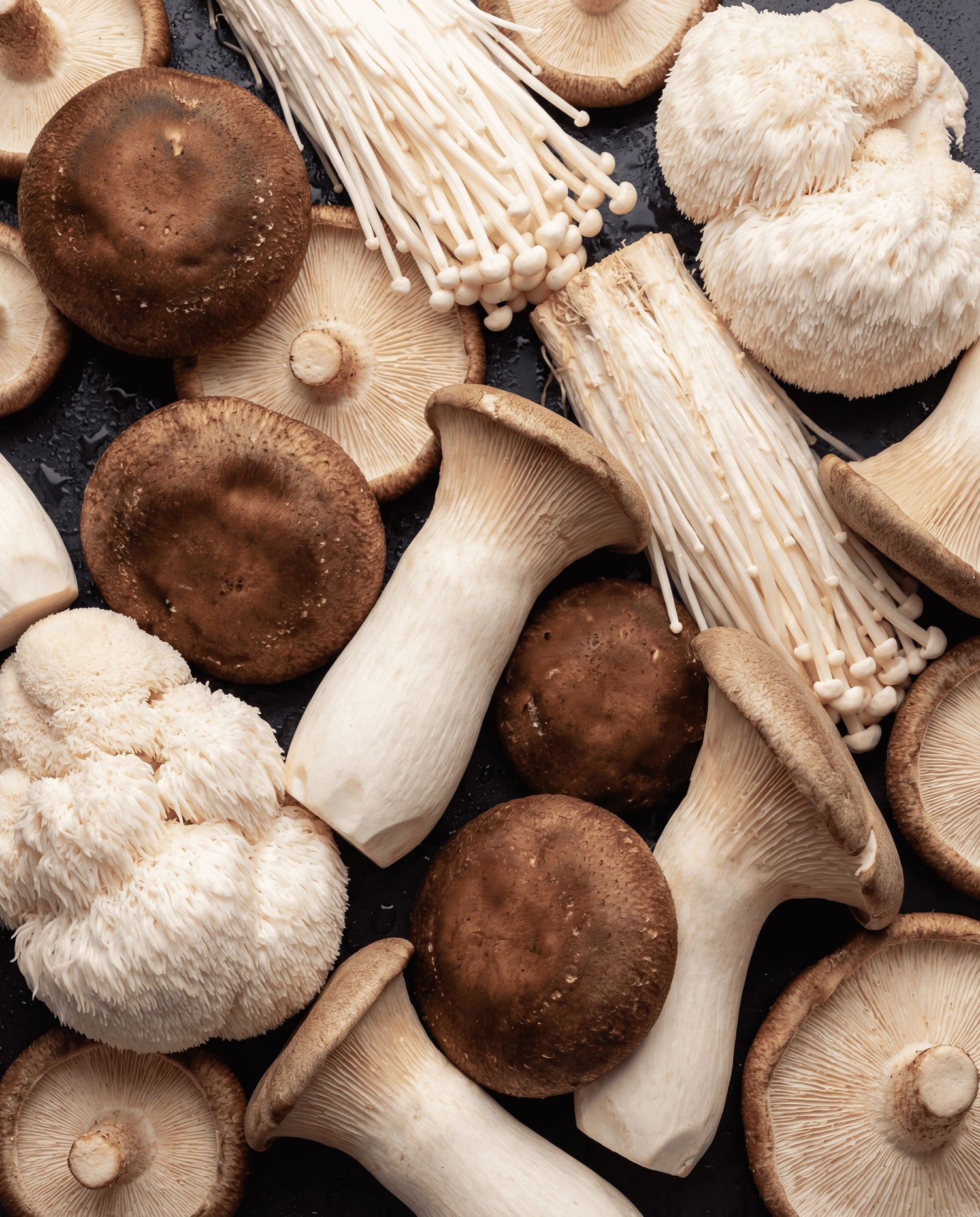 Why Adaptogenic Mushrooms Are the Future of Skin Longevity
